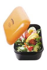 Boîte réfrigérée sans BPA 