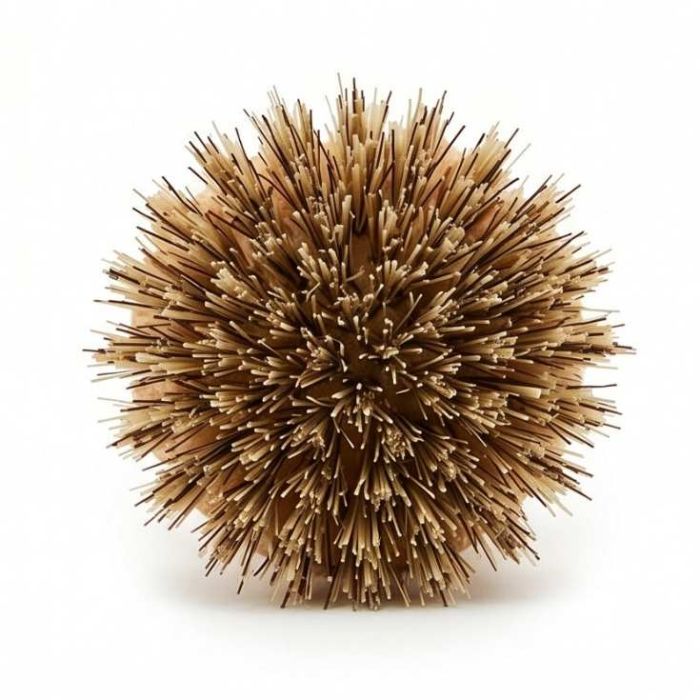 Brosse de nettoyage