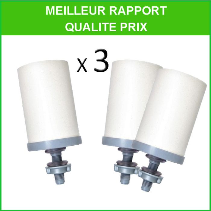 ACTUEL Lot de 3 cartouches filtrantes + 1 gratuite pas cher 