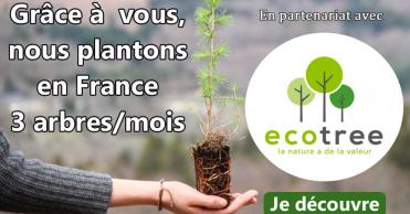 Scandi-vie et la reforestation